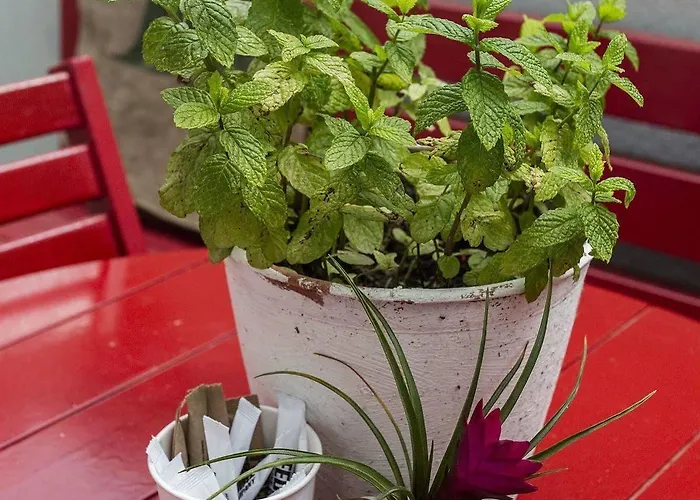 9 Boutique (adults Only) 호텔 보즈자아다